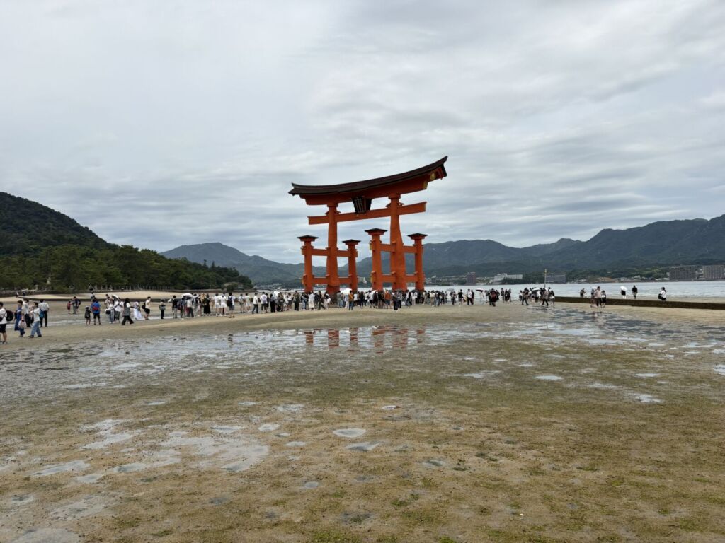 干潮時の厳島神社の大鳥居。潮が引いた砂浜を大勢の観光客が鳥居の根元まで歩いている